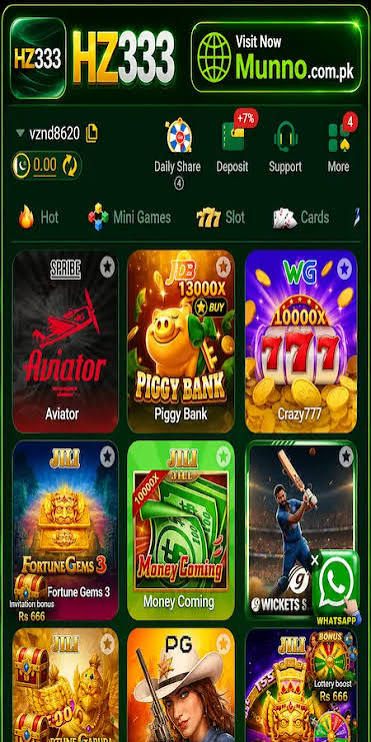 HZ333 Game image 2026